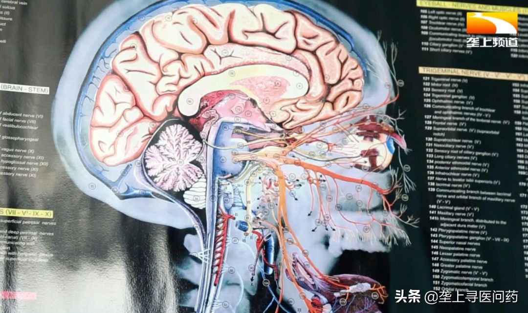 青年医生|她点亮康复患者希望之光,被称为“半蹲医生”——马艳