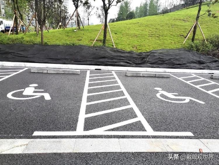 溉澜溪体育公园现在还有花吗,重庆溉澜溪体育公园足球场