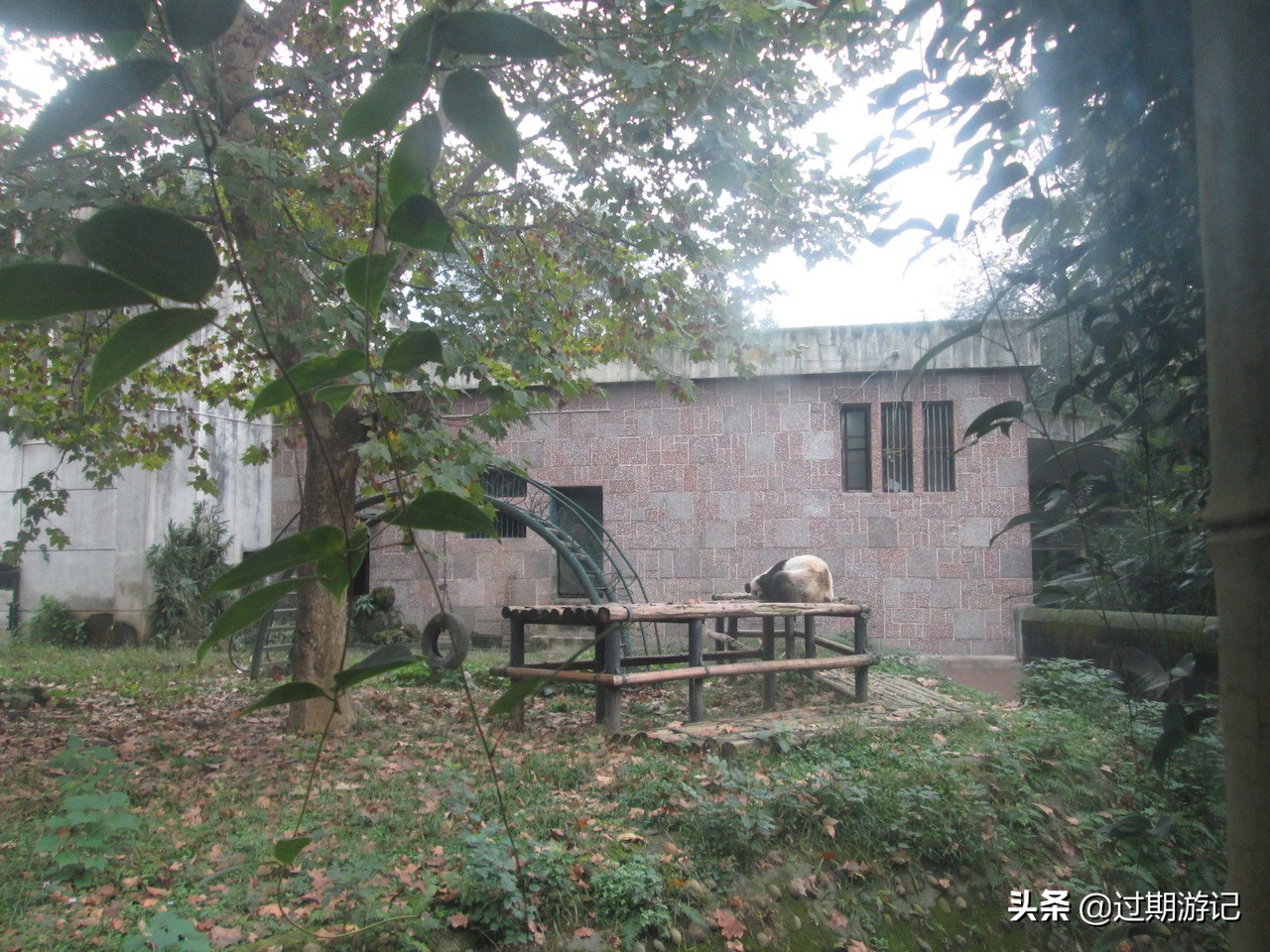 成都小众景点全部,成都动物园本周六免门票怎么预约