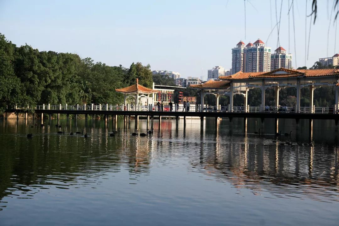 广州免费公园景点大全,广州免费公园排名