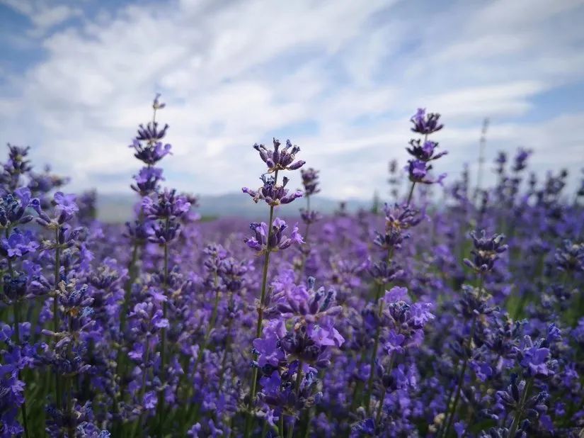 喀拉峻穿越琼库什台几天,喀拉峻穿越琼库什台