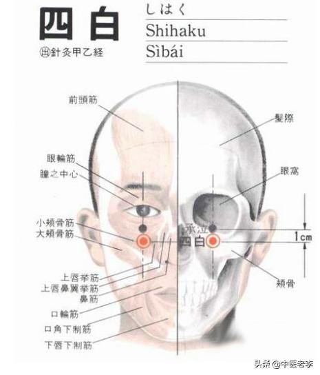 人体穴位图每个穴位都可以干什么,人体穴位图及每个穴位作用