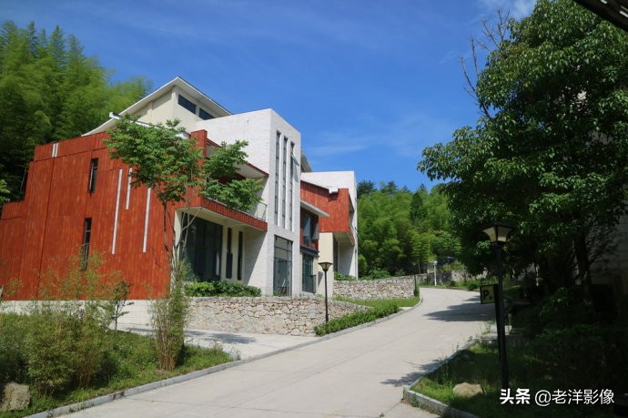 藏龙大别山度假酒店,罗田天堂寨藏龙大酒店价格