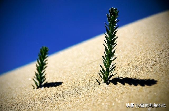 哪些期货品种适合日内短线交易,想做好股票需要什么财经知识