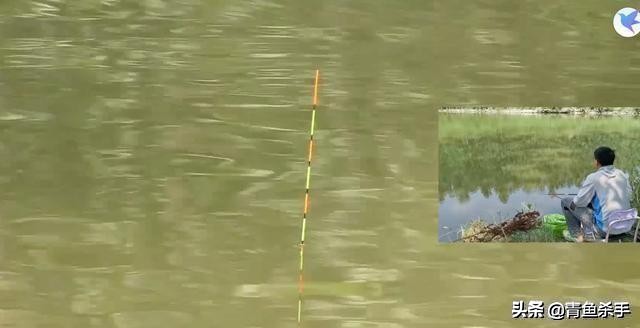 水中氧气含量与水深关系,水中氧气不足怎么钓鱼钓深钓浅