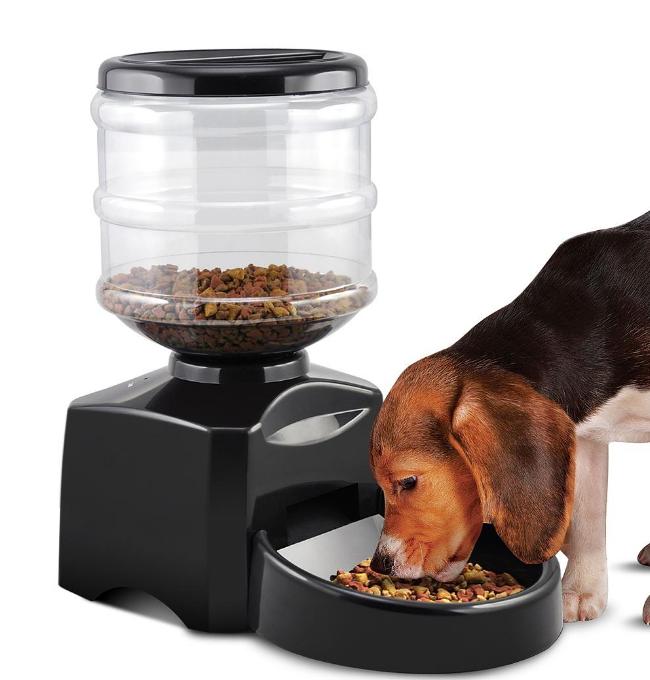 狗狗独自在家怎么解闷,狗狗自己在家怎么办