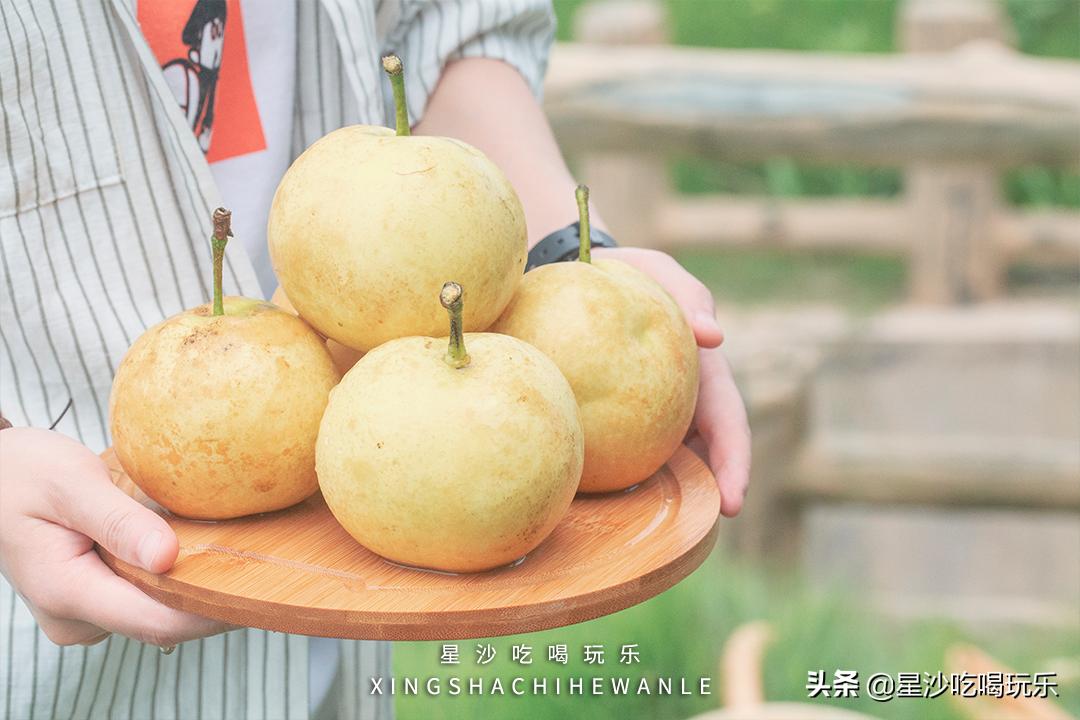 长沙小水果之乡,湖南长沙宝藏打卡地