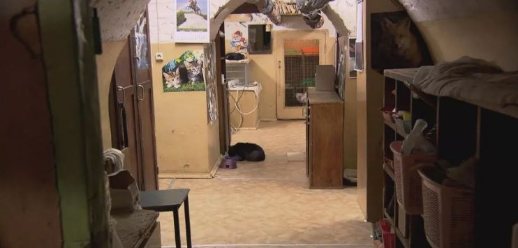 盘点俄罗斯人的彪悍时刻,30条关于俄罗斯的日常