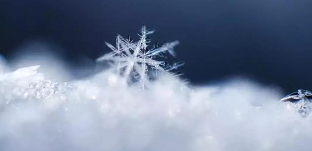 不全请补充：飞花令—雪