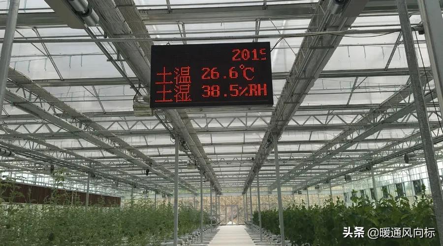 三大案例，带你走进农业种植大棚、畜牧养殖和水产养殖供热市场