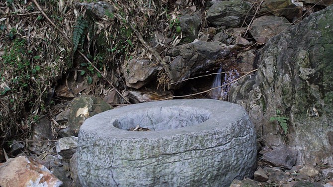 南京竹海宜兴竹海,宜兴华东第一竹海
