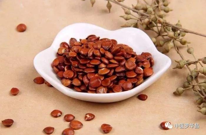 酸枣仁，疗失眠补心脾之要药！附医案