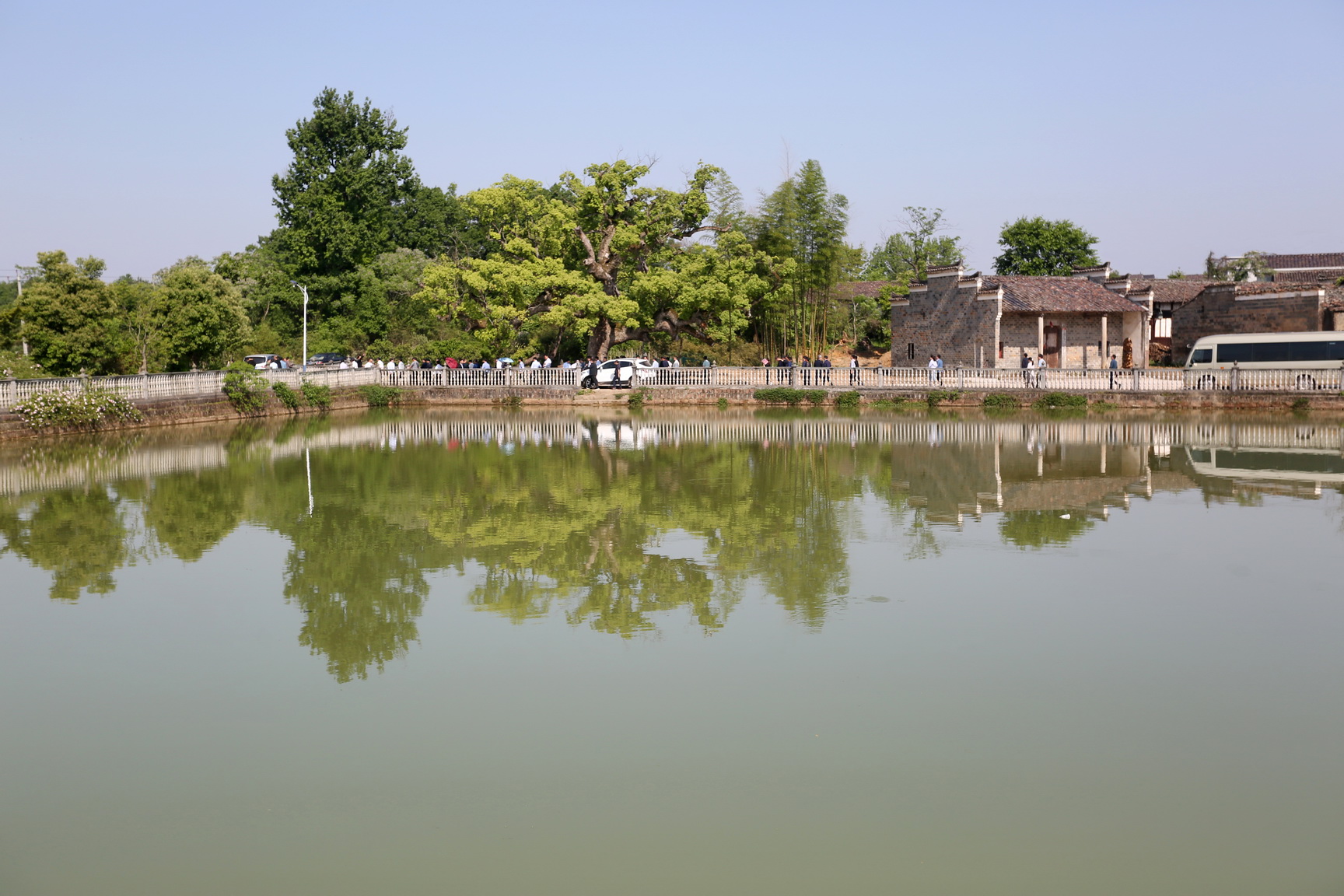 江西省山清水秀自然美景好地方,金溪镇山清水秀好风景