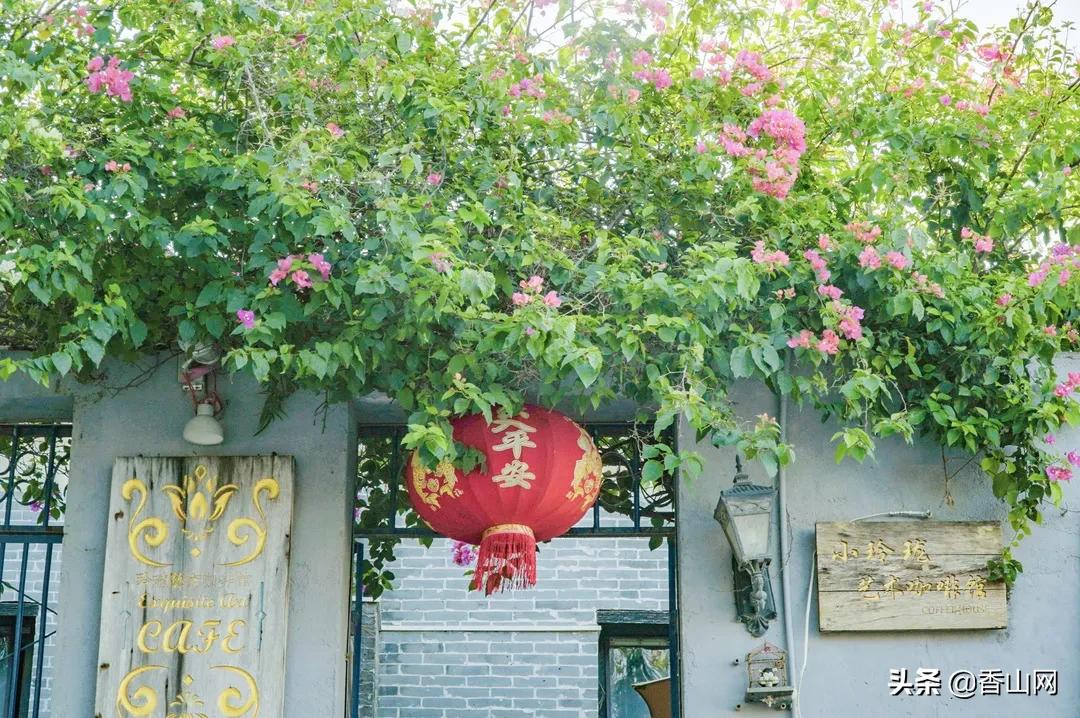 珠海鲜为人知的一面,珠海有名的花园