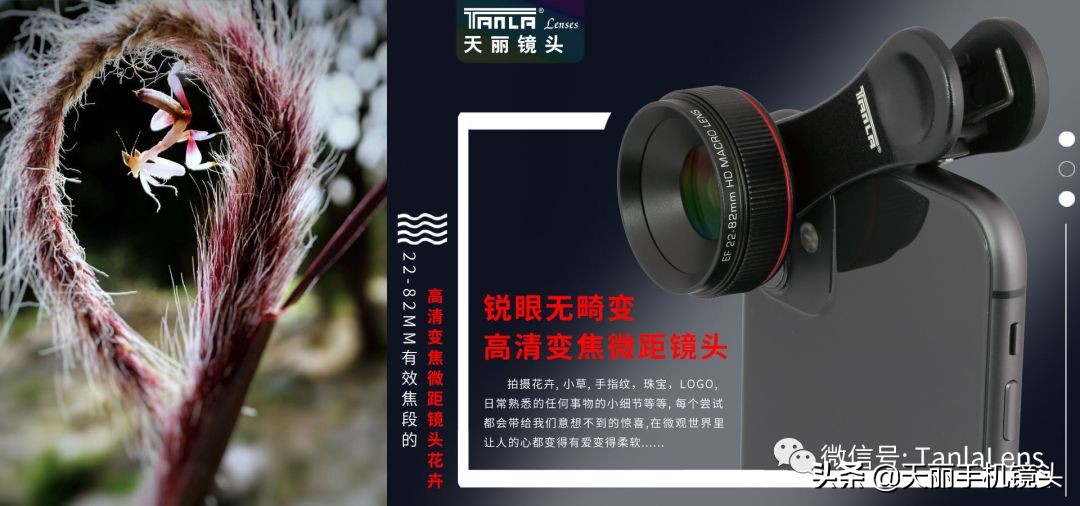 天丽摄影作品集,天丽镜头视频完整版