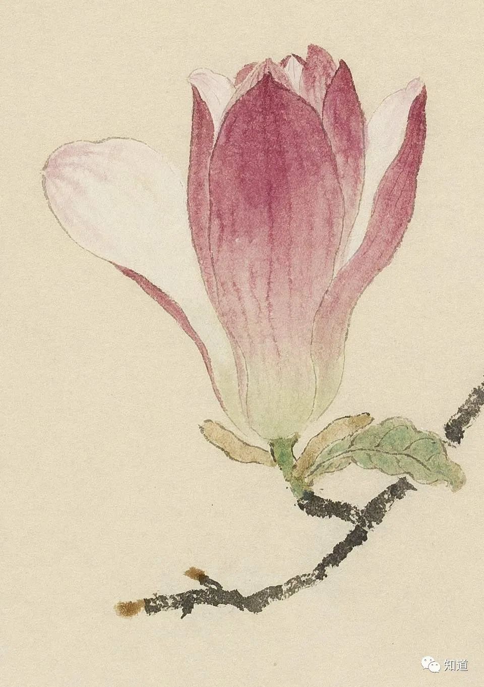 春天的脚步近了好像一切都醒来了,春天的脚步已经悄然而至