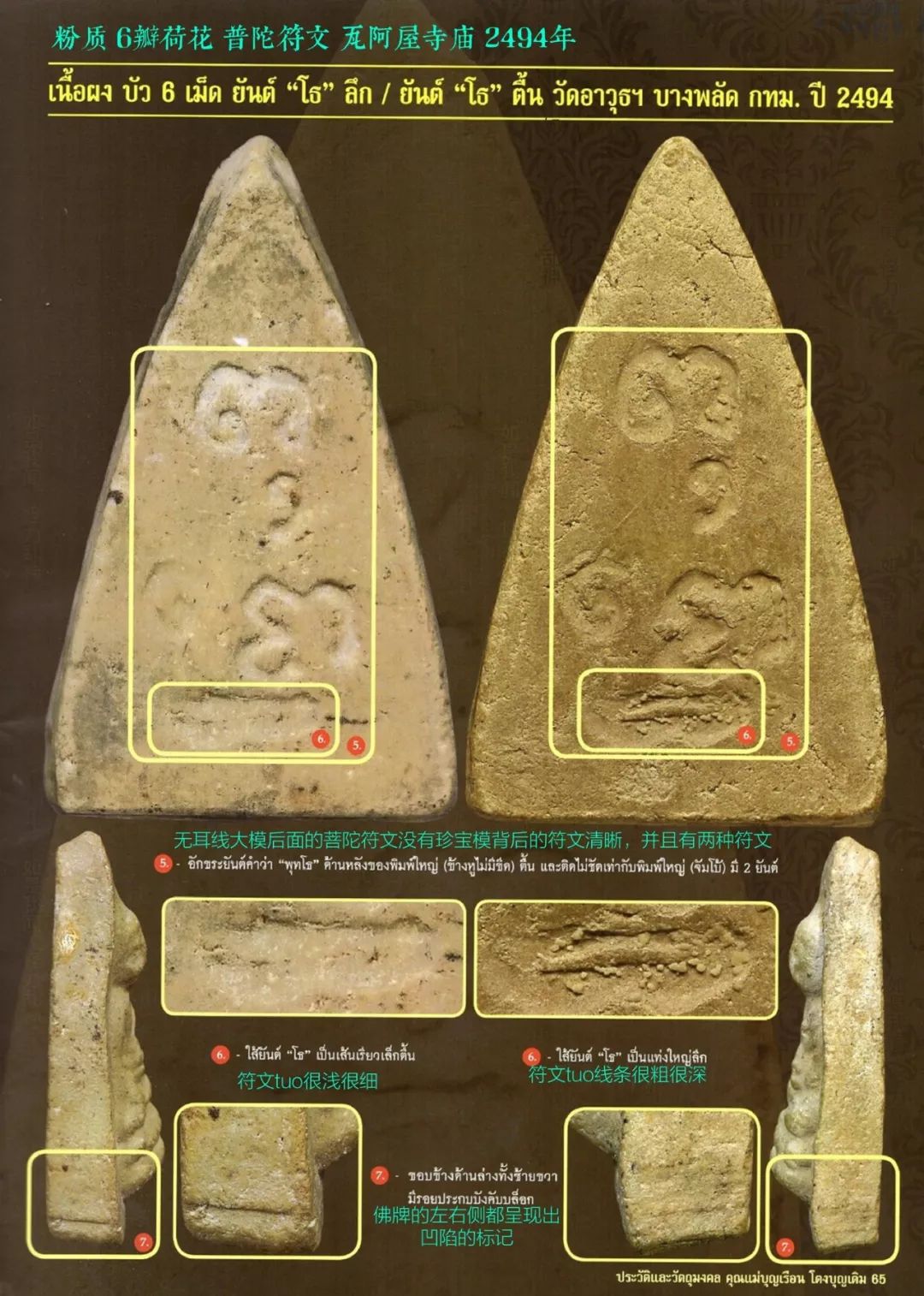 「鉴变」2494普陀耐最受欢迎的大模第二无耳线模