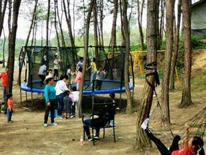 长沙周边旅游自由行攻略一日游,长沙周边景点一日游旅游团