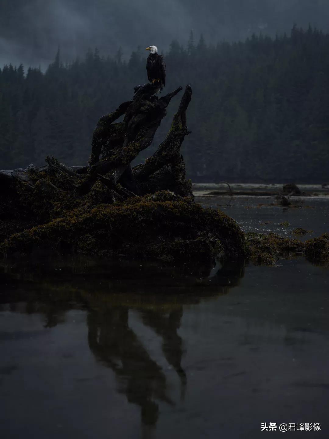 哈苏摄影师获奖摄影作品选,哈苏相机摄影师的地位