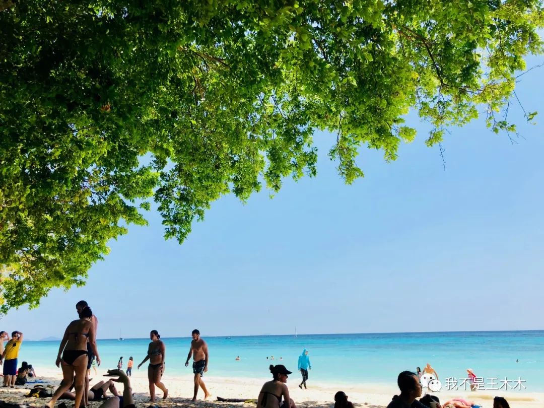 泰国之旅我们在一起,泰国自由行海岛推荐