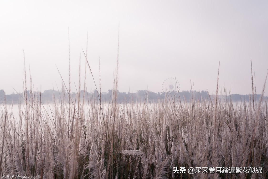 瑞丽弄莫湖公园逛一逛,瑞丽弄莫湖公园旅游攻略