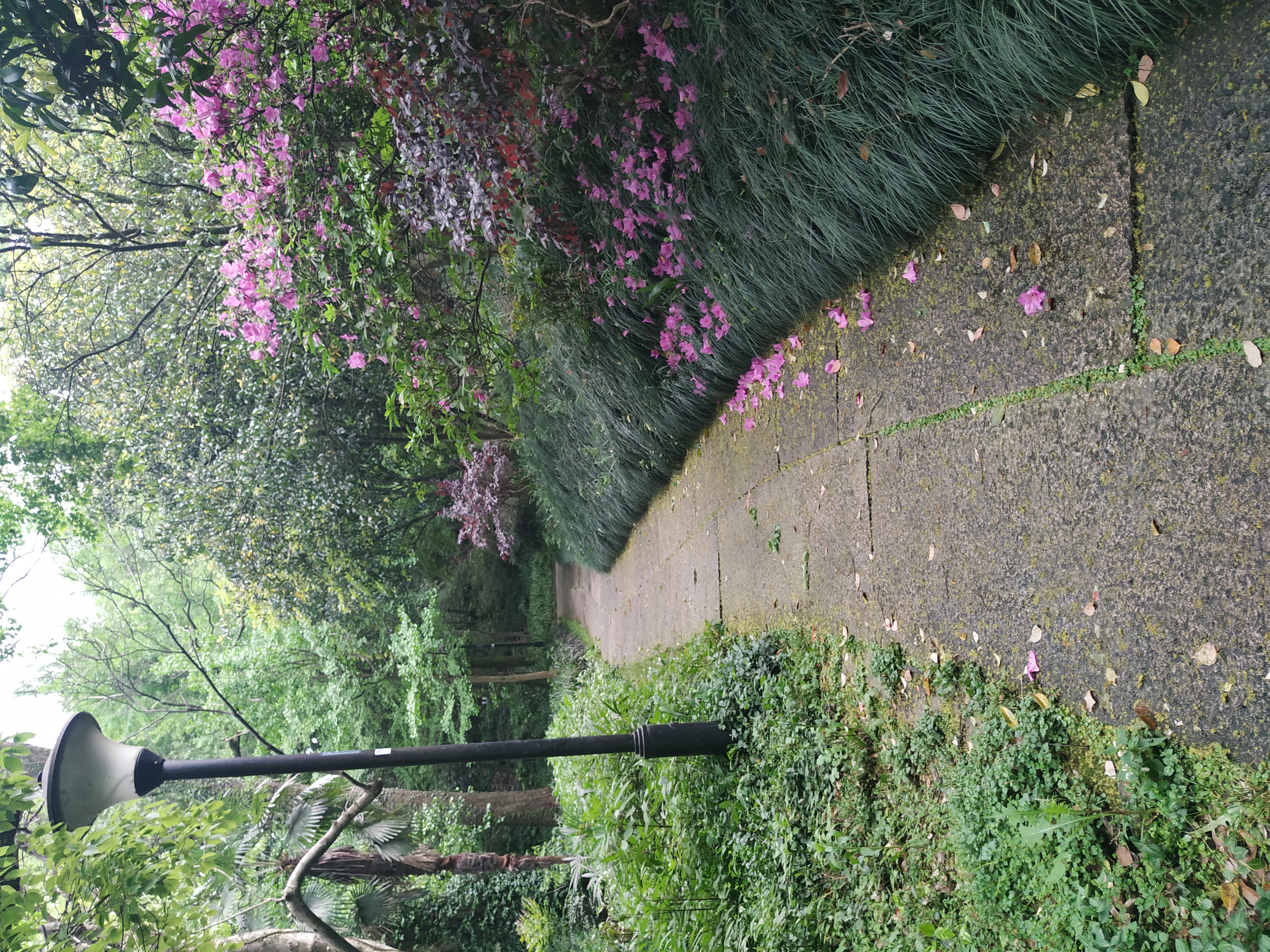 一个旅居者眼中的杭州：似水流年捕捉那四时光阴，美是记得