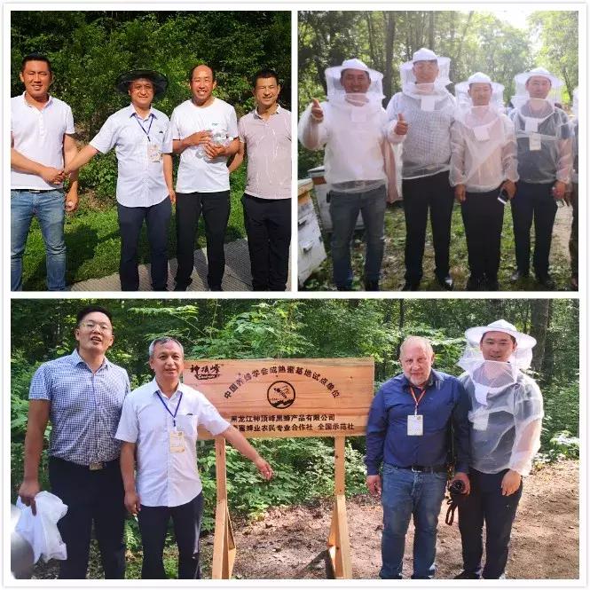 虎林战立新,虎林市黑蜂雪蜜