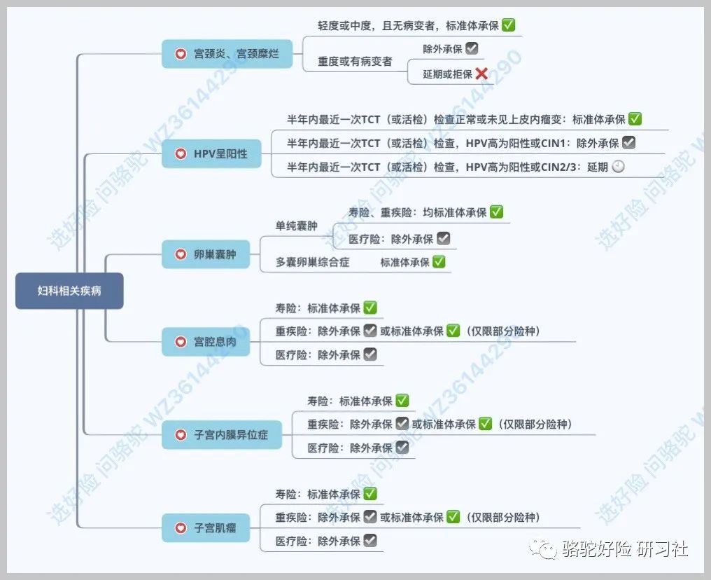 2022带病投保哪种保险最好,带病投保哪种保险最好100%报销