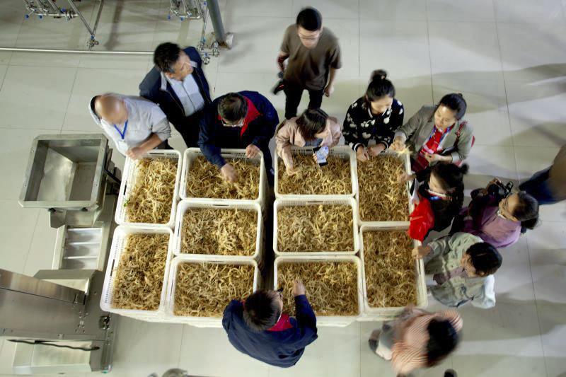 行走在乡村的感悟,行走在乡间感悟