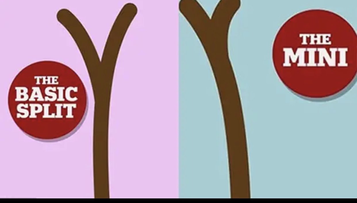 头发干得特别慢是为什么,头发干燥长得慢怎么回事