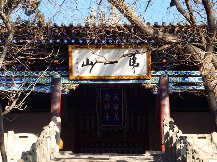 山西天下第一柏在哪里,山西省最奇特的山