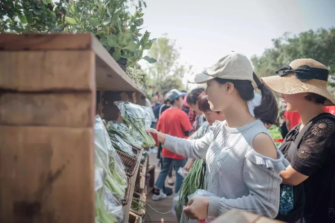 普罗FAMILY业主卡年度数据新鲜出炉！回首我们这一年