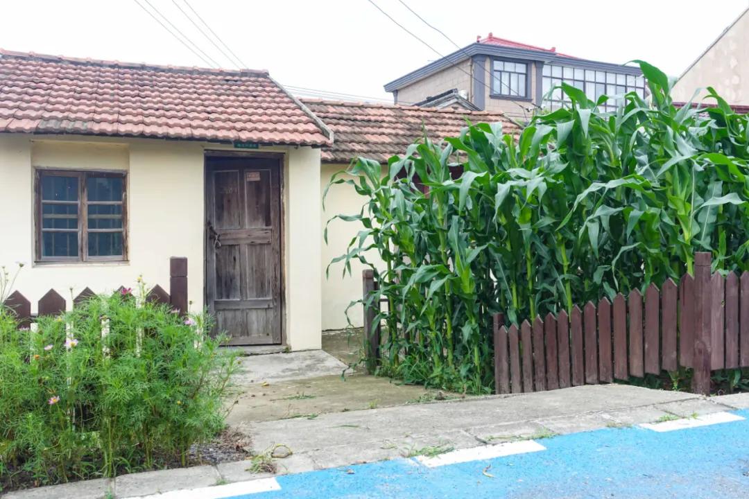 玩骑行和摄影,行走山野乡间赏田园风光