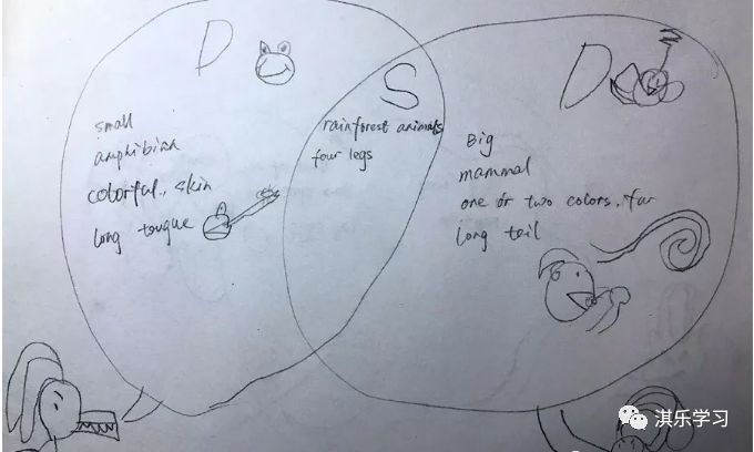 razaa级别详解,一篇文章带你了解django