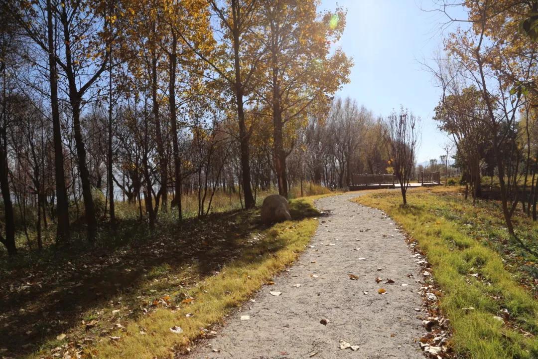 环海西路何时开工,环海路开放时间