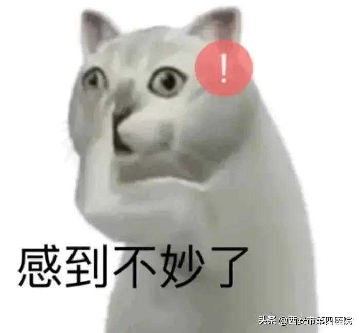 健康中国有哪些举措,健康中国行动攻略