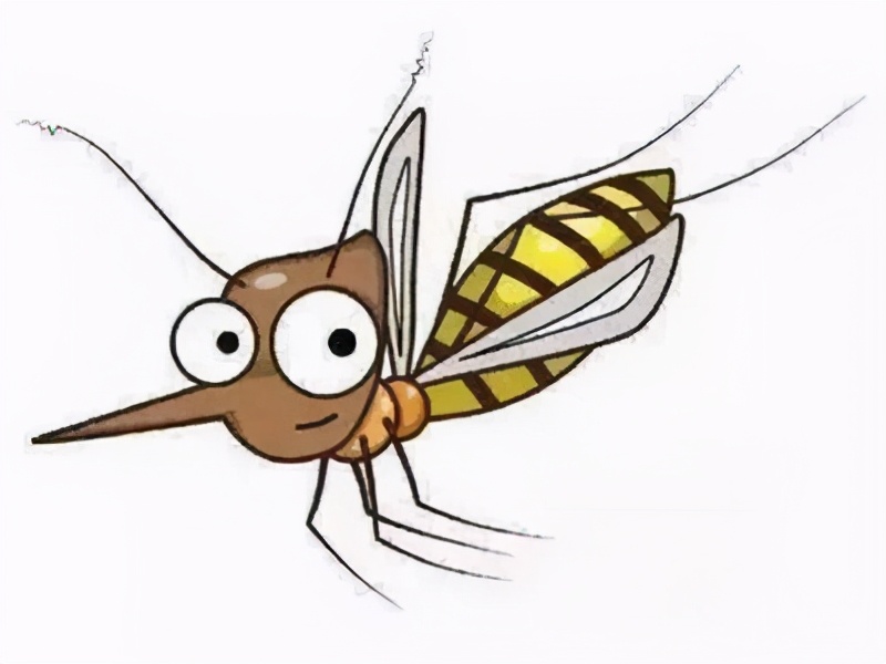 教你一个小妙招蚊子来一窝死一窝,教你一个方法夏天让蚊子远离你