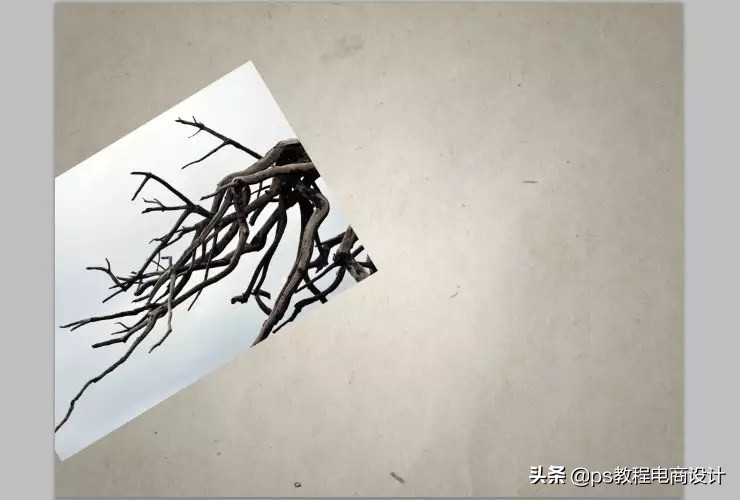 ps怎么把玫瑰变成金黄色,ps蝴蝶和鲜花合成