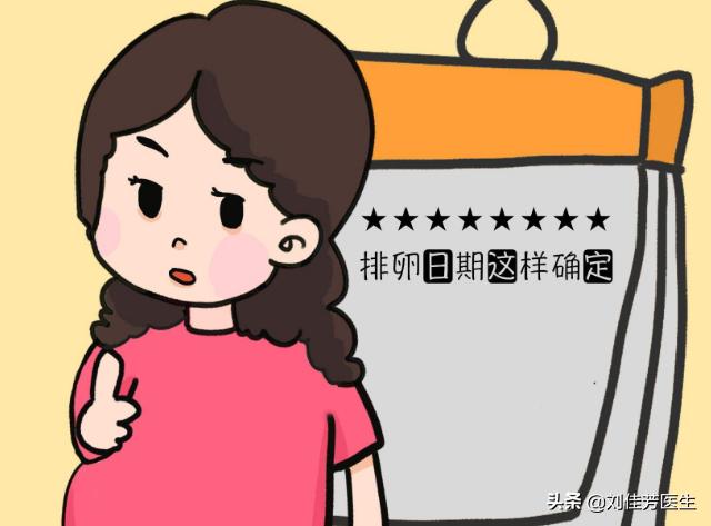 备孕排卵期到下次月经应注意什么,例假刚结束就是排卵期怎么办