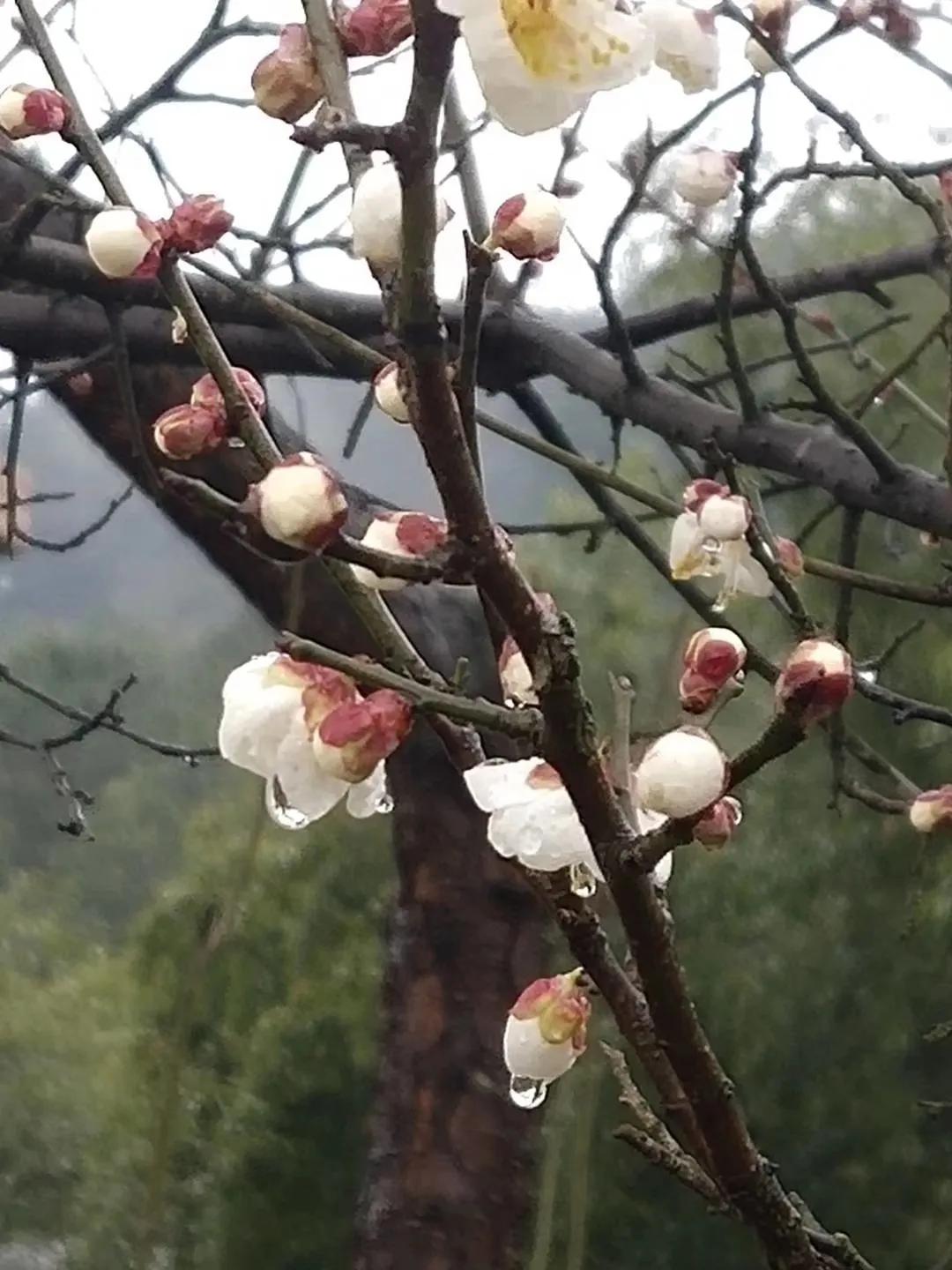 有一种缘分叫母子缘,有一种缘分我们要珍惜