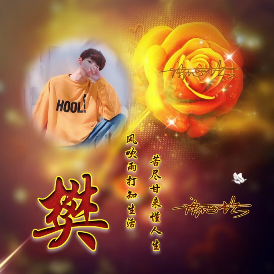 粉色玫瑰花头像照片唯美女生,姓氏微信头像超萌唯美黄