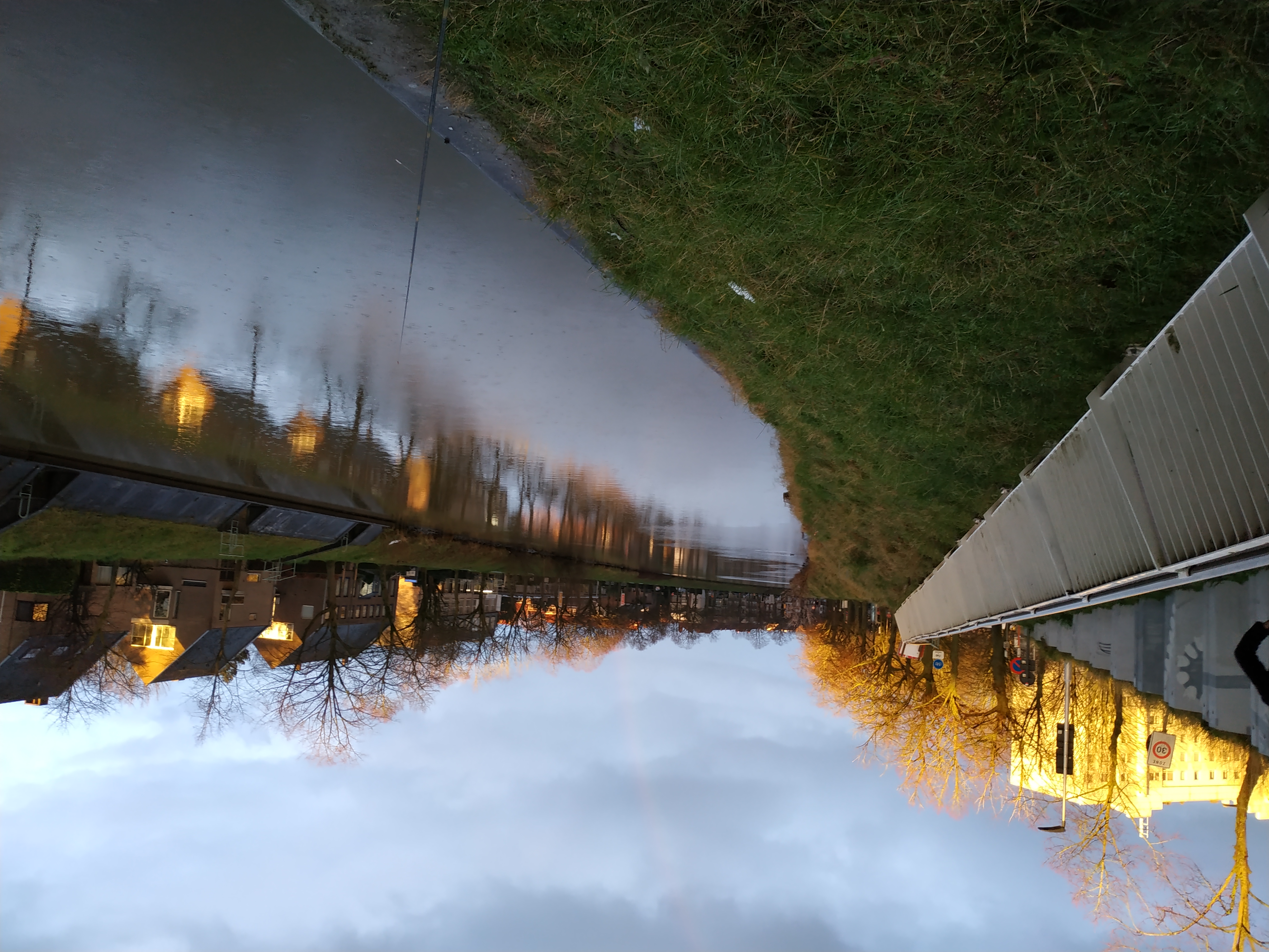 欧鳊如何钓,欧鳊怎么钓