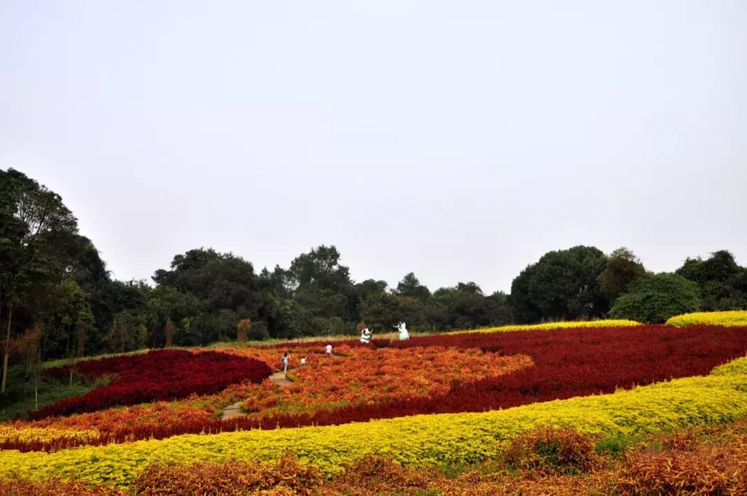 石象湖景区团购,石象湖景区门票特价