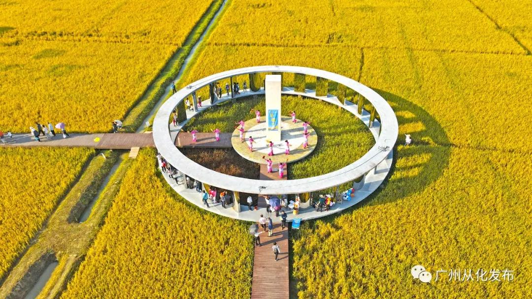 楂樻牎瀛︾敓鐪间腑鐨勫叡闈掑洟,楂樻牎鐢熺溂涓殑鏃朵唬鍙樿縼