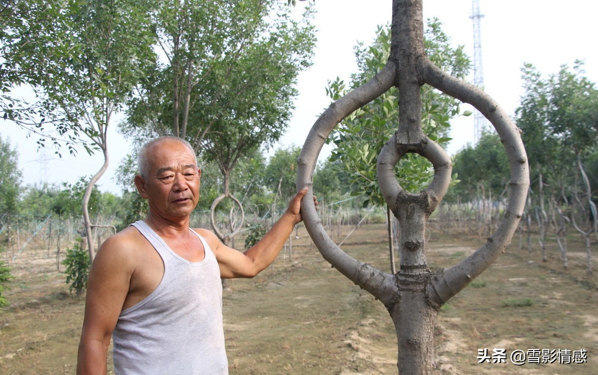 老人养老问题子女怎么解决,老年人子女不管了怎么办
