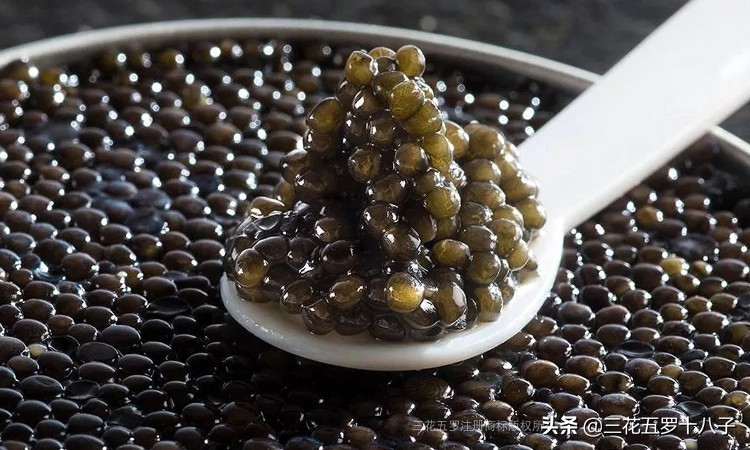 鱼子酱是三大奢侈品美食吗,世界三大美食鱼子酱