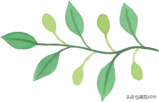 为什么对外经济贸易大学出国率这么高?