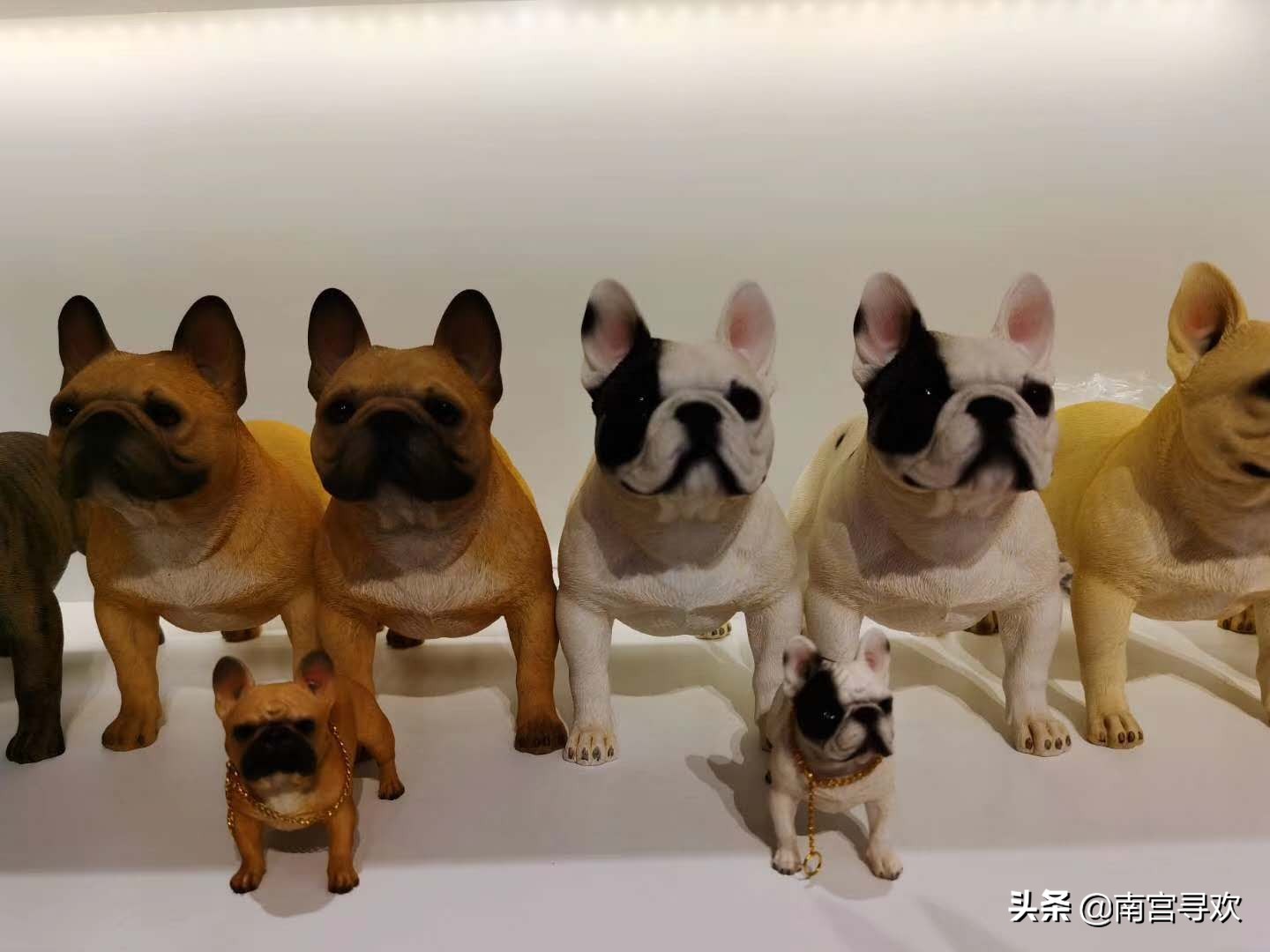 2020全新搞笑语录：愿得一人心，免得老相亲