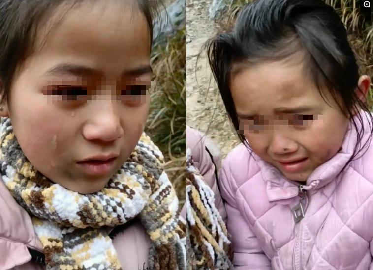 一周谣言盘点：巧克力30年后灭绝，做不完的寒假作业不用做了？