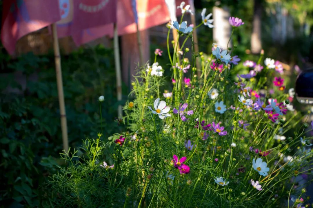 自驾三天呼伦贝尔大草原,自驾去呼伦贝尔草原七日游的攻略